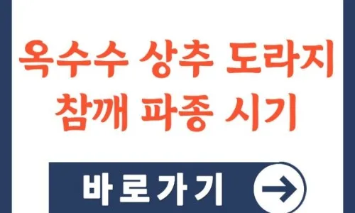 대상포진 예방접종 가격 및 무료 지원 2026년 총정리 2