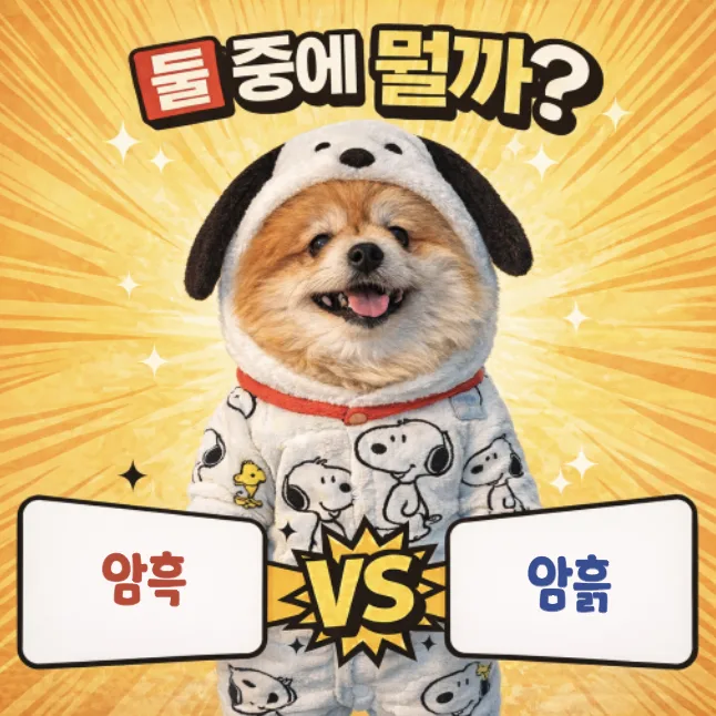 암흑 vs 암흙 2026: 헷갈리는 맞춤법, 어원과 함께 명확히 구분하기