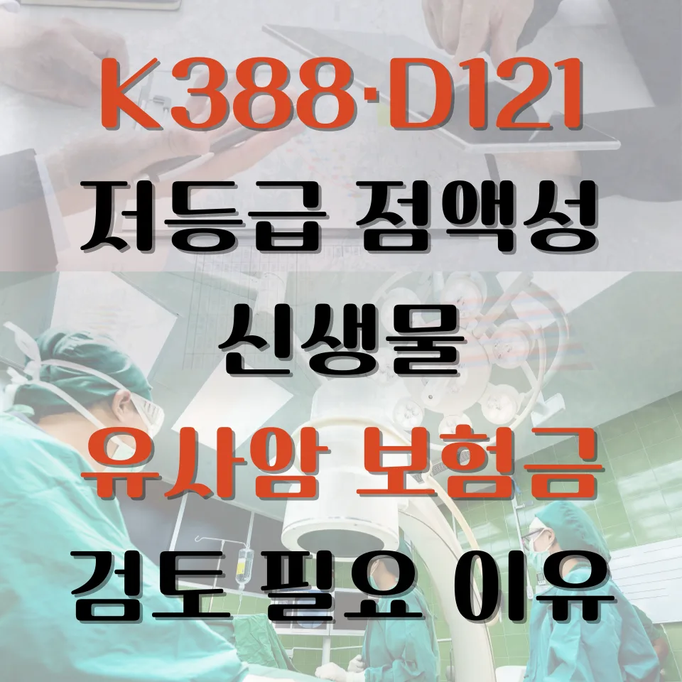 LAMN 진단, 유사암 보험금 받을 수 있나요? 2026년 최신 검토 가이드