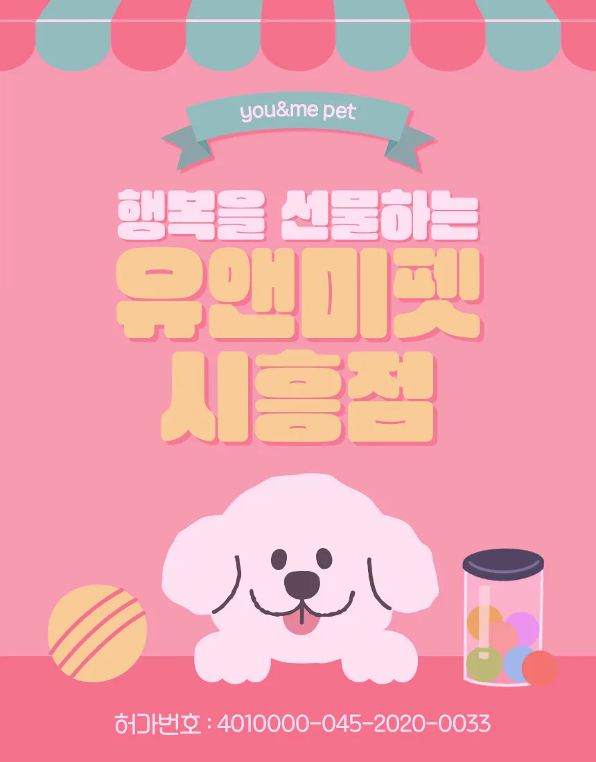 파주 비숑프리제 분양 2026: 유앤미펫 경험 기반 솔직 후기