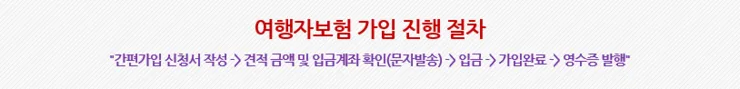 여행자보험 2026년 총정리: 국내·해외·단체 가입 완벽 가이드 2