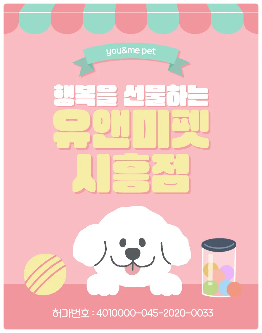 부천 비숑 분양 2026: 유앤미펫 방문 후기 및 입양 팁