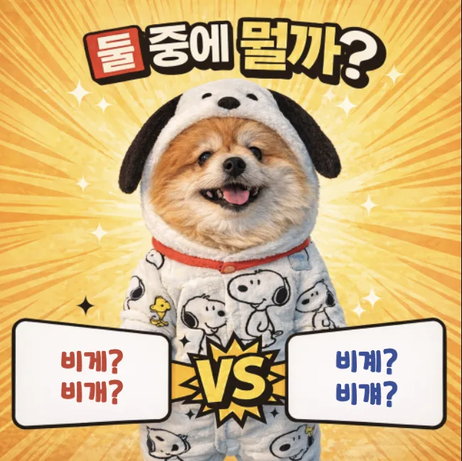 삼겹살 비계 vs 베개, 2026년 헷갈리는 맞춤법 완벽 정리
