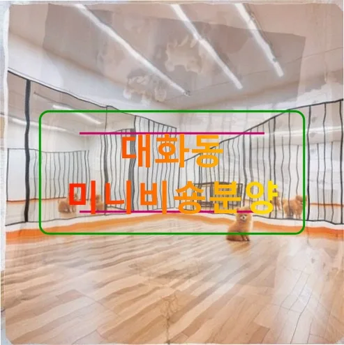 대화동 미니비숑 분양 후기: 2026년, 반려견 입양 전 필수 체크리스트