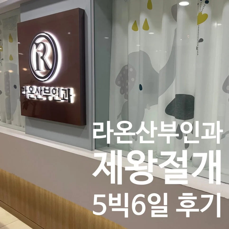 대전 제왕절개 5박6일 입원 후기: 박종식 원장님 수술 정보 2026