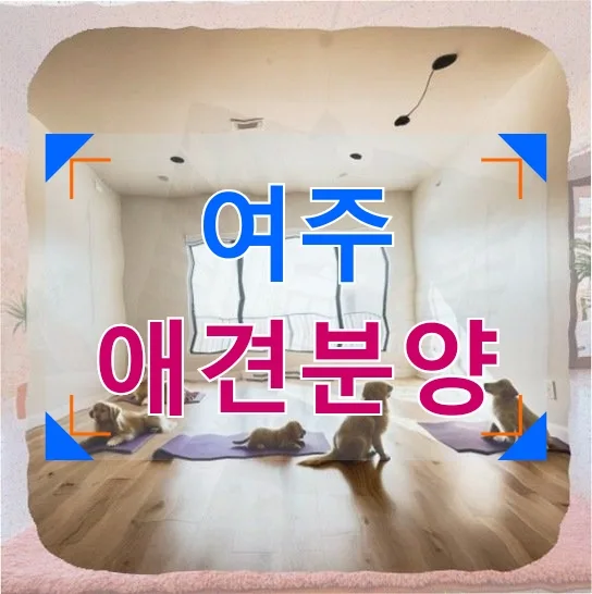 여주 애견분양 푸들 8개월 육아 경험담: 건강·이동·사료 고민 해결 2026