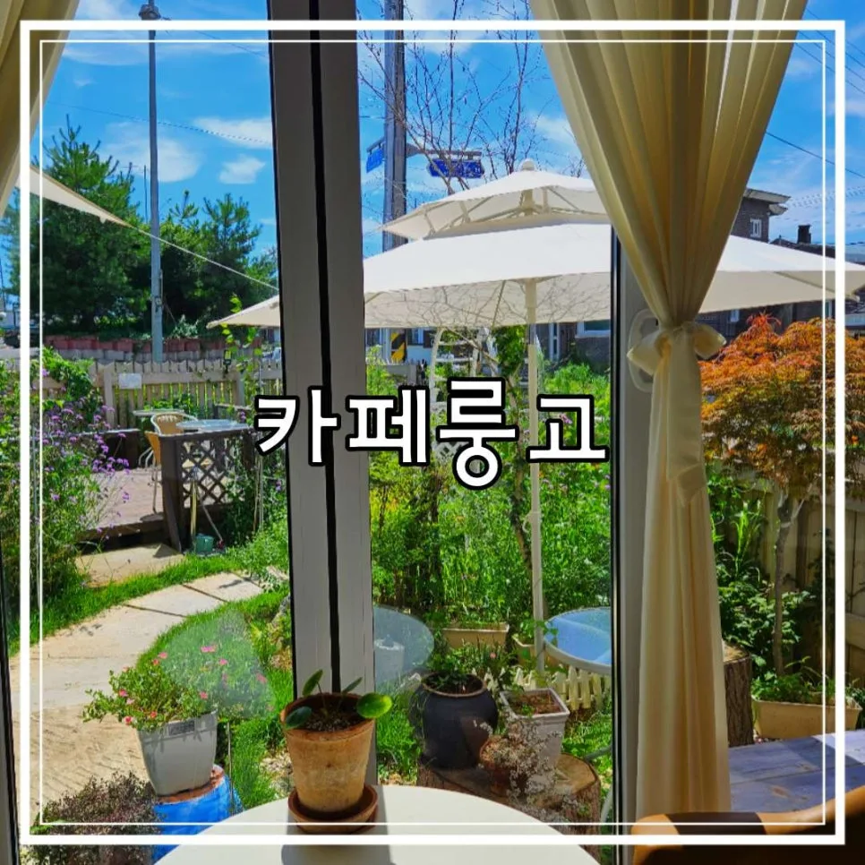 대천 해수욕장 근처 카페 2026: 룽고 방문 후기 및 추천