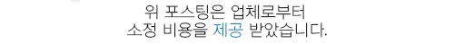부천 24시동물병원, 응급 수술부터 맞춤 케어까지 2026년 총정리