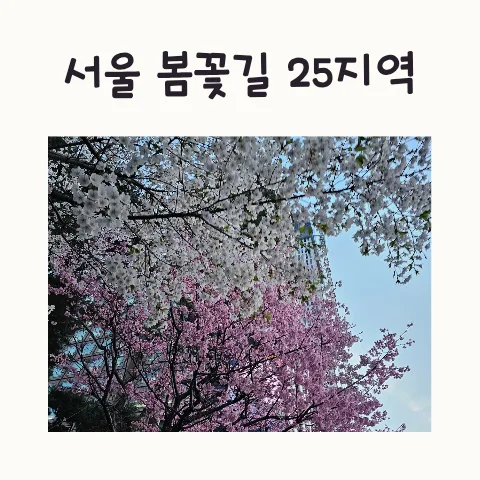 서울 봄꽃길 명소 2026: 숨겨진 벚꽃 명소 25곳 추천