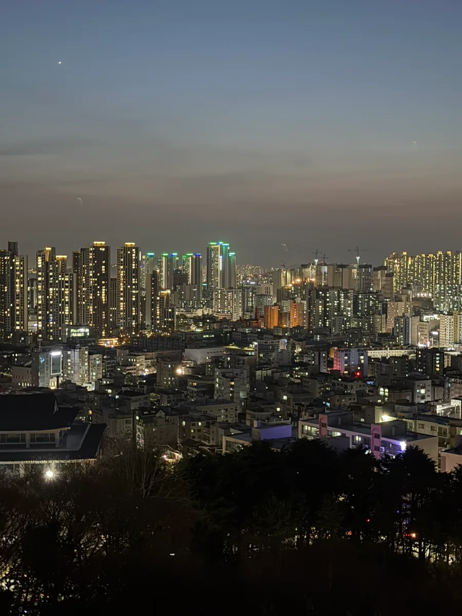 인천 수봉공원 벚꽃 명소 2026: 스카이워크 야경과 주차 꿀팁