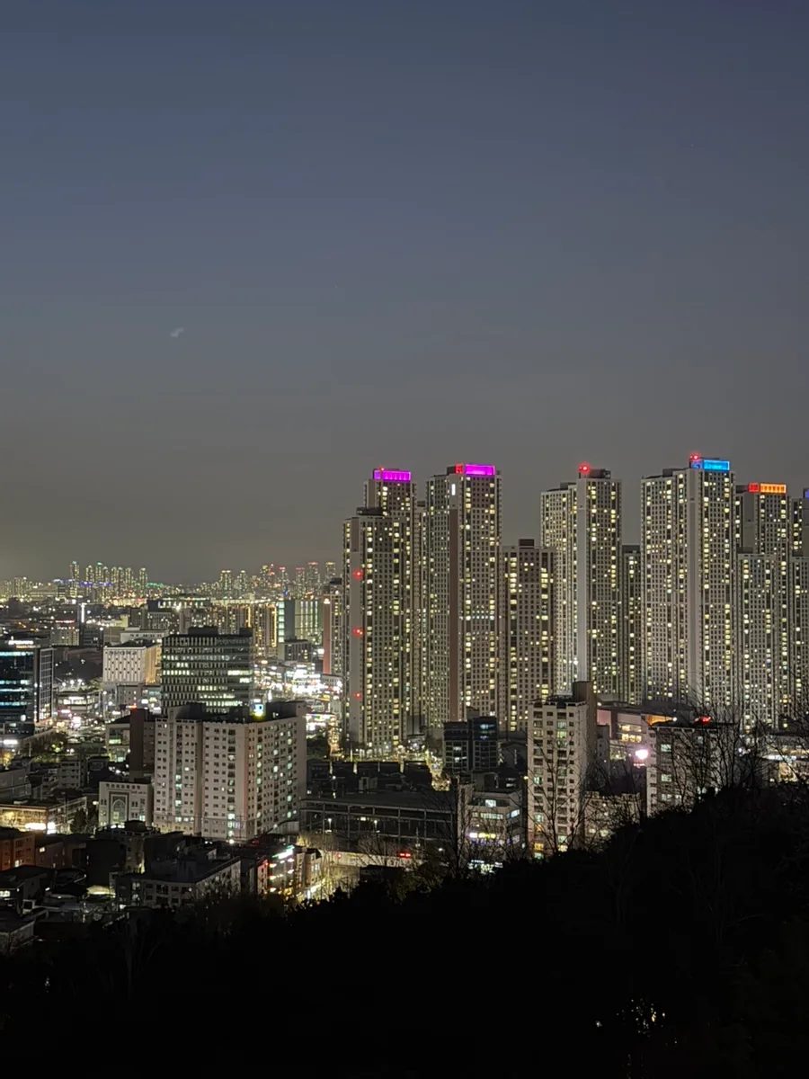 인천 수봉공원 벚꽃 명소 2026: 스카이워크 야경과 주차 꿀팁 2