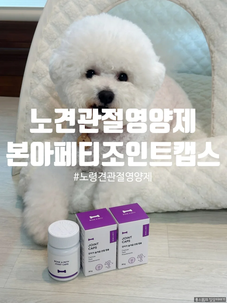 노령견 관절 영양제 본아페티 조인트캡스 2026년 급여 후기