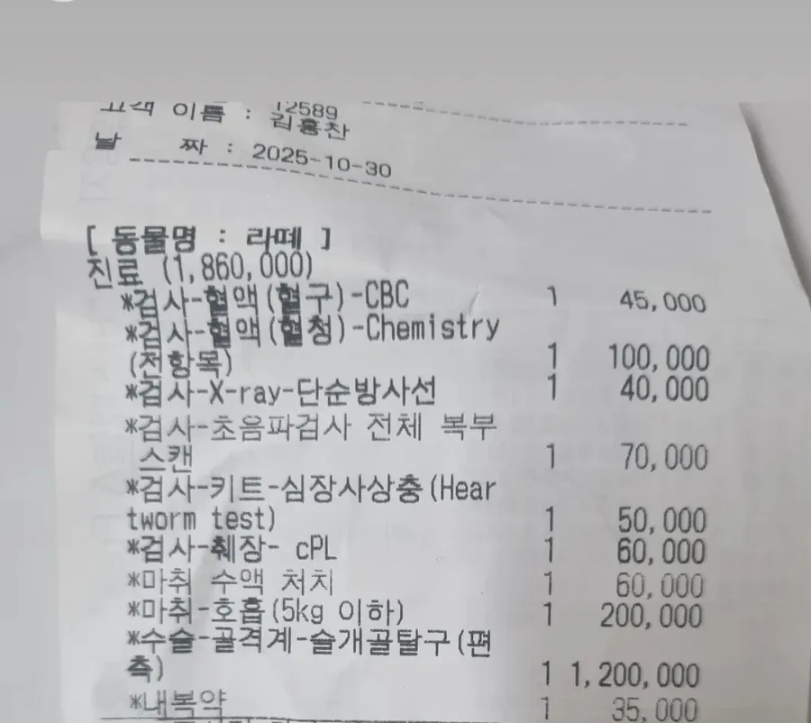 말티푸 슬개골탈구 수술, 2026년 회복까지 총정리 2