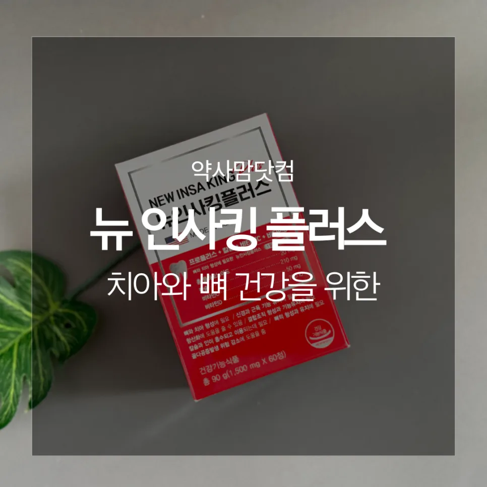 잇몸 영양제 2026: 뉴 인사 플러스 킹 골드 성분과 효과 완벽 분석