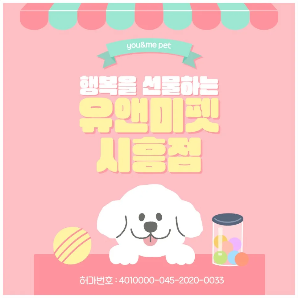 의정부 러시안블루 분양 후기: 2026년 최고의 선택 가이드