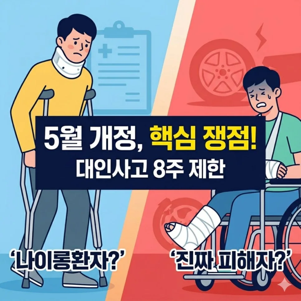 자동차보험 경상환자 8주 제한, 진짜 피해자는 누구? 2026년 총정리