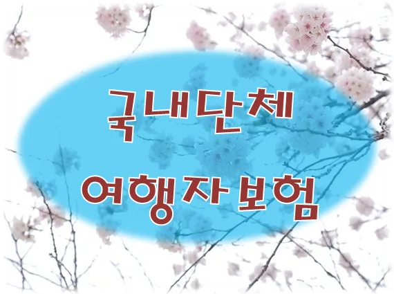 2026년 단체여행자보험 완벽 가이드: MT, 동호회 가입 꿀팁