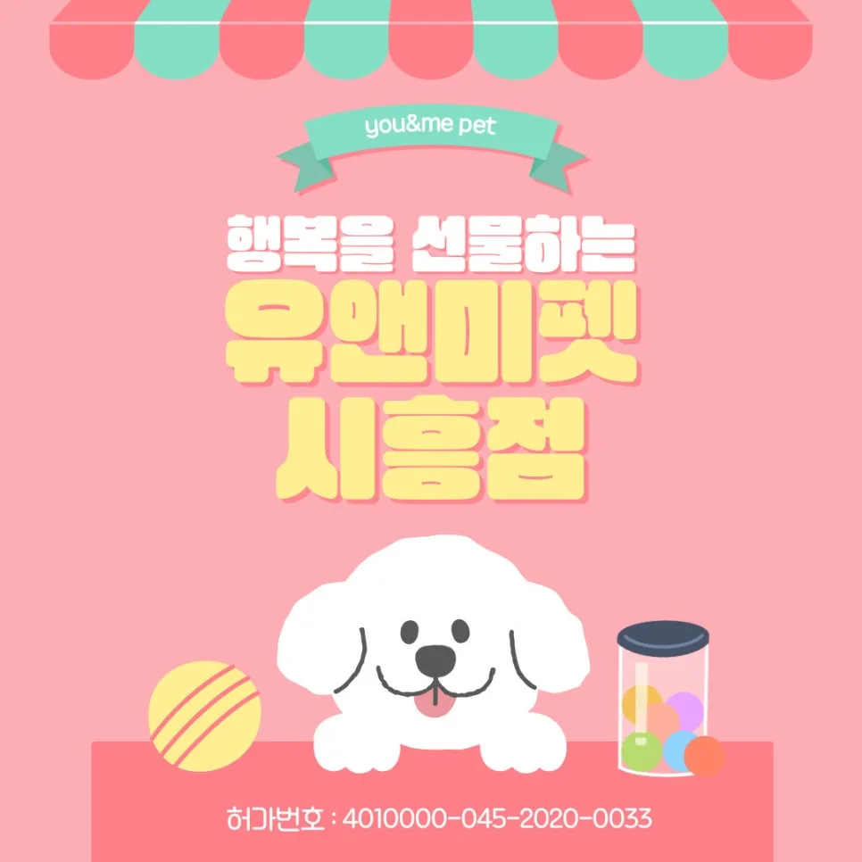 성남 랙돌 분양 2026: 유앤미펫 경험 기반 성공적인 입양 가이드