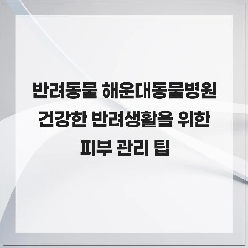 반려동물 피부·귀 질환 총정리: 증상별 관리법 2026 2