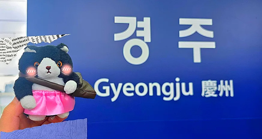 경주 1박 2일 여행 코스: 엄마와 함께한 유적 탐방 후기 2026
