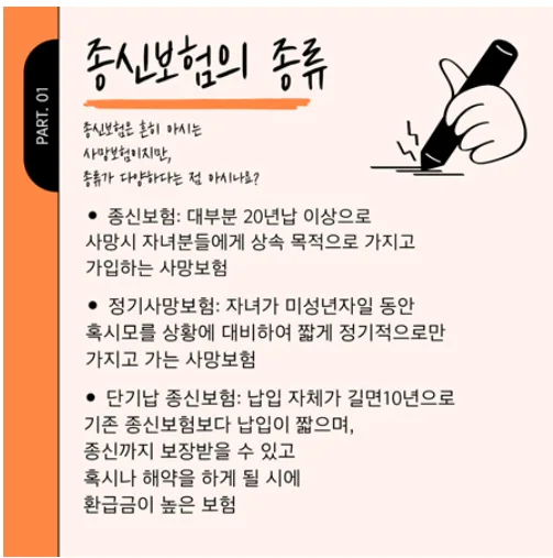 정기보험 vs 종신보험 2026: 사회초년생 사망보험 비교 분석 2