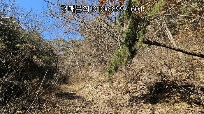 3만 평 창원 임야 경매, 2026년 투자 가치 분석 및 주의점