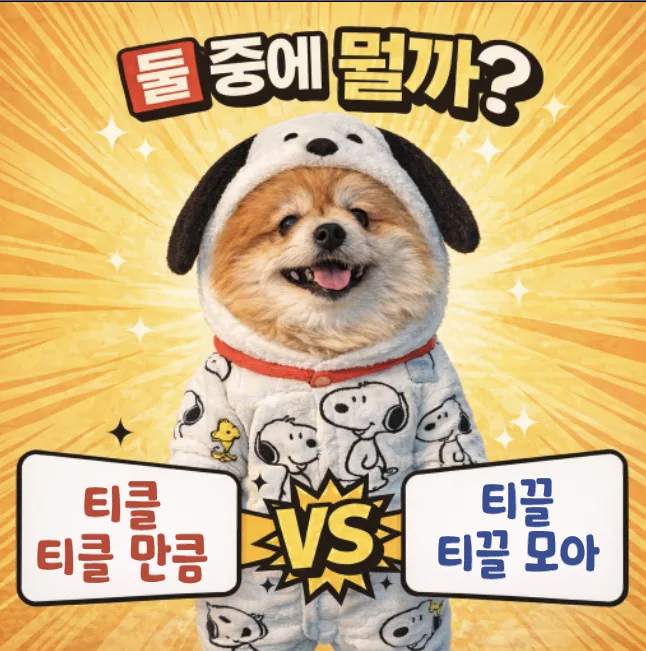 티끌 vs 티클, 2026년까지 헷갈리지 않는 맞춤법 총정리