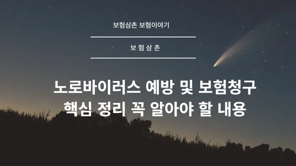 노로바이러스 증상 및 예방, 보험청구까지 2026년 총정리