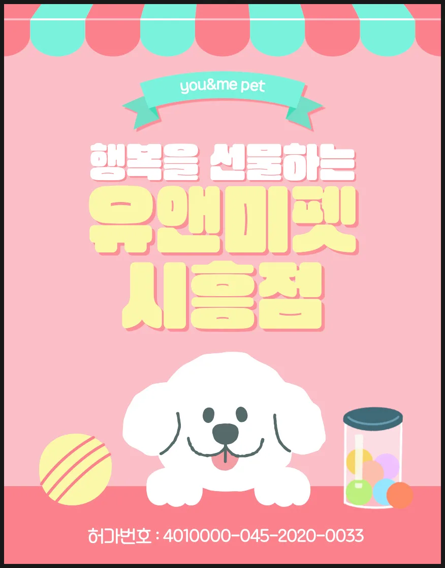 수원 말티즈 분양 2026: 유앤미펫 경험 기반 건강한 반려견 선택 가이드