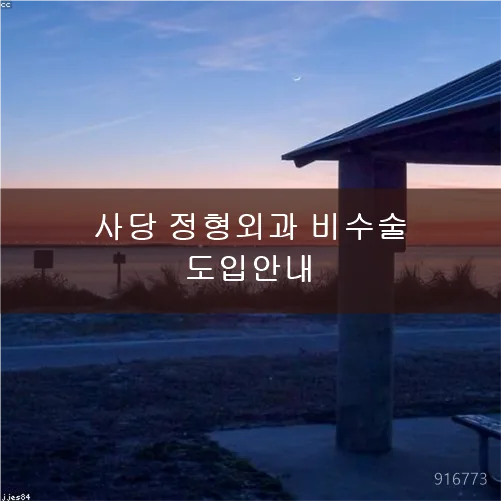 사당 정형외과 비수술 통증관리 2026: 빠른 일상 복귀 가이드