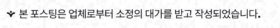 2026년 동물병원 진료비 절약 노하우: 고양이 귀 청소법 포함