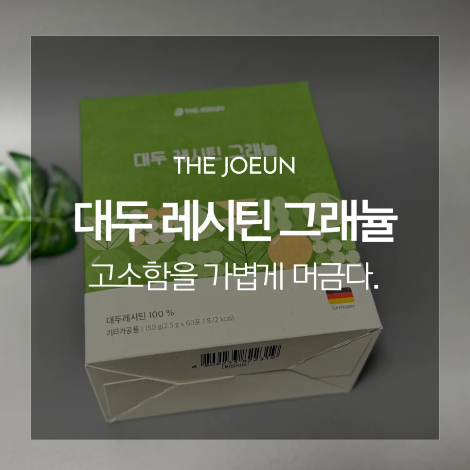 대두 레시틴 그래뉼 2026: 효능, 섭취법, 고르는 기준 총정리