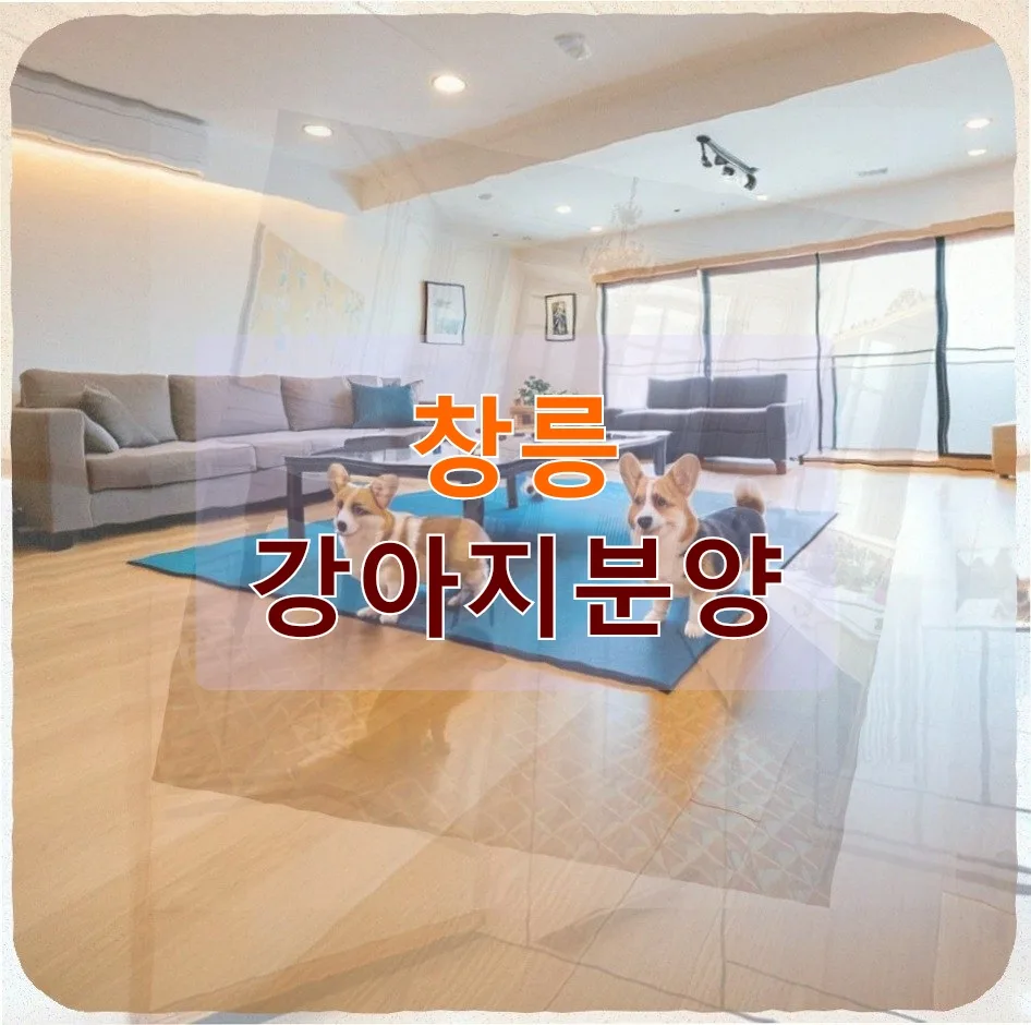 창릉 강아지 분양 후기: 1주일 만에 피부병 발생, 환불 과정 2026