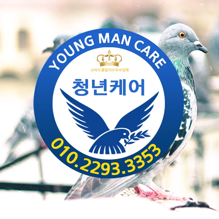 평택 비둘기 퇴치, SK비전 아파트 실외기실 새똥 청소 2026년 완벽 차단법