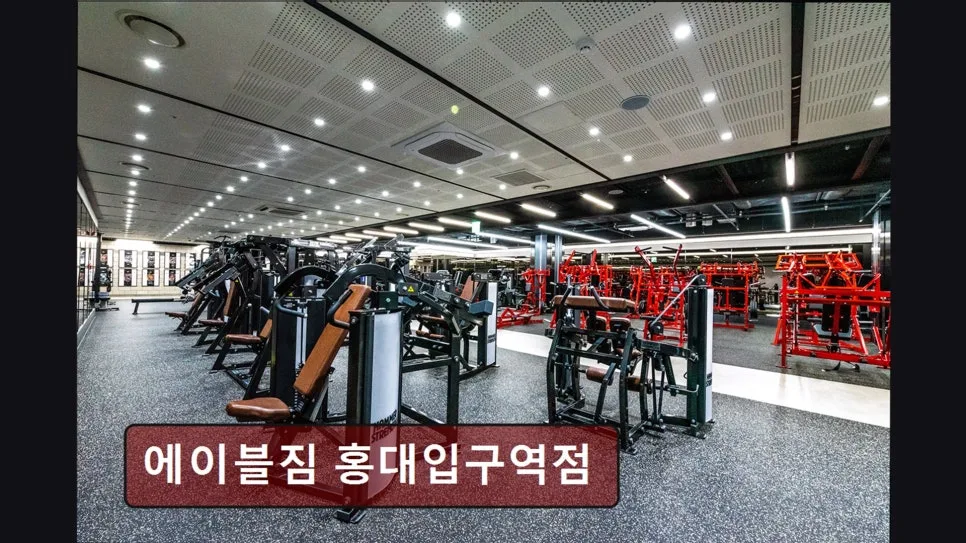 홍대 헬스장 에이블짐 2026년 시설 및 PT 후기 총정리