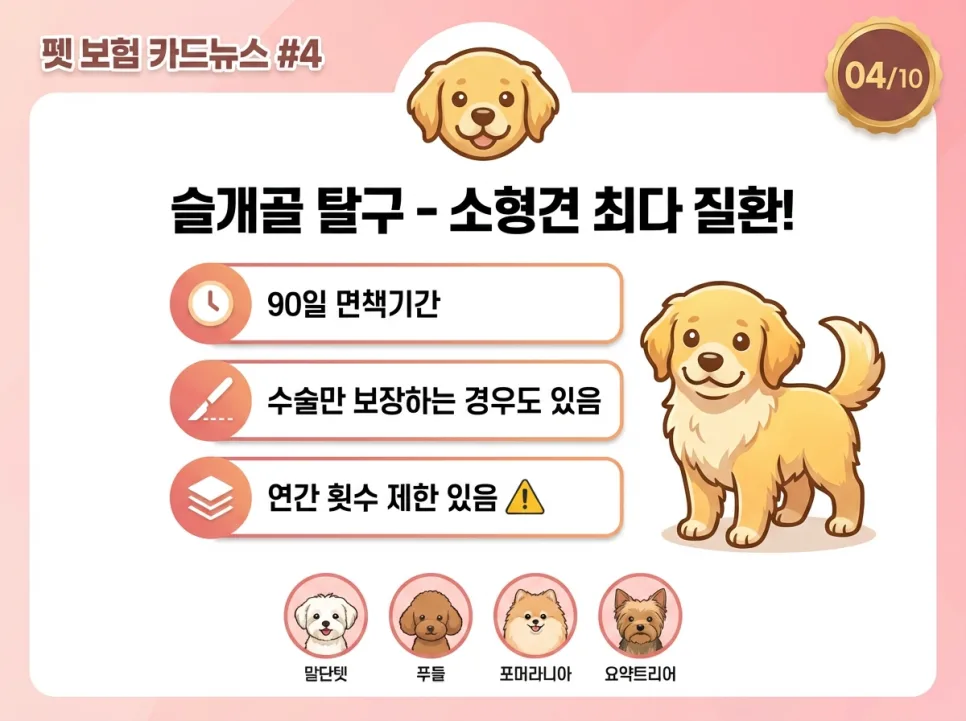 강아지 펫보험, 수술비 200만원 대비 필요성 2026년 총정리 3