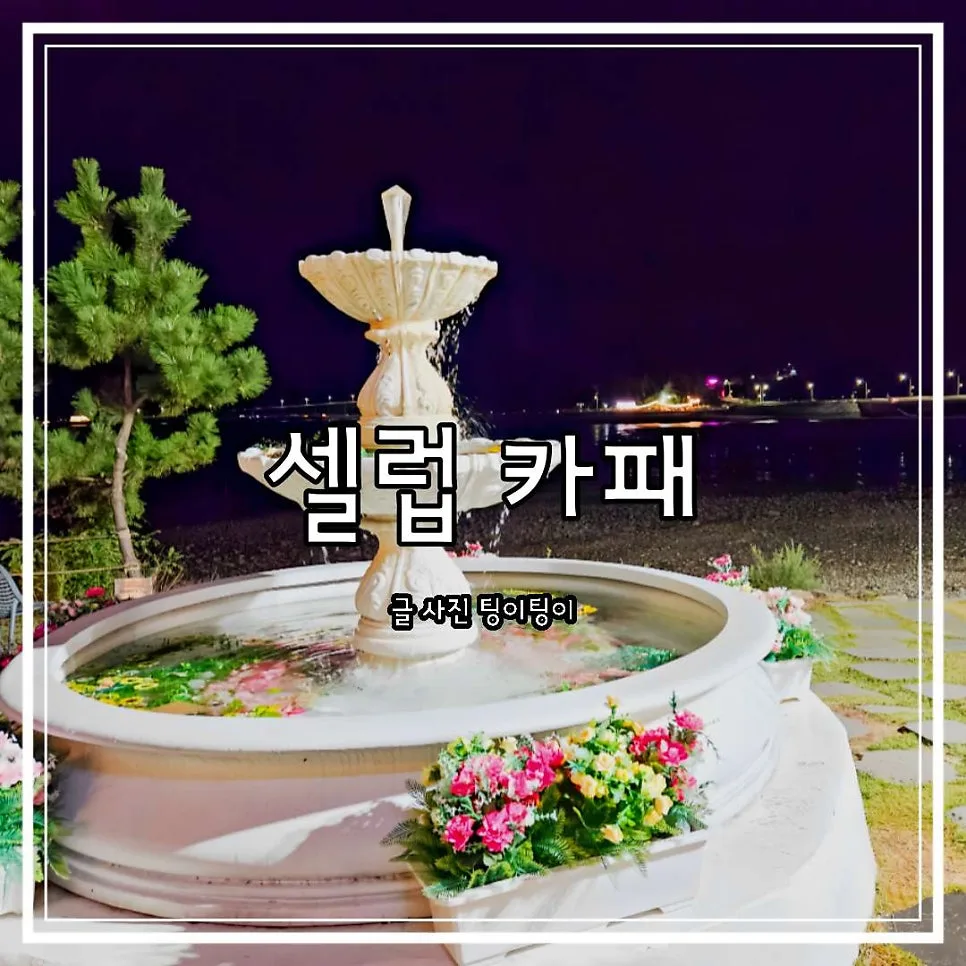 Celuv Cafe Yeongjongdo: Best Ocean Views & Bakeries 2026