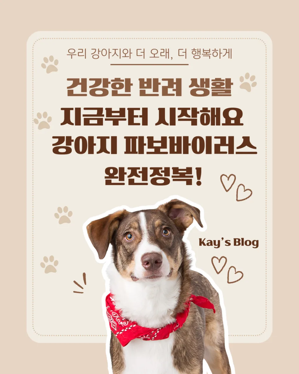 강아지 파보바이러스, 생존율 높이는 핵심 정보 2026년 총정리