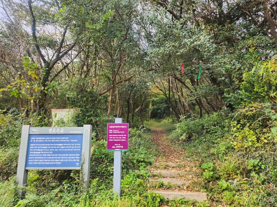 비 오는 날 제주 오름, 병곳오름 방문 후기 (2026) 2