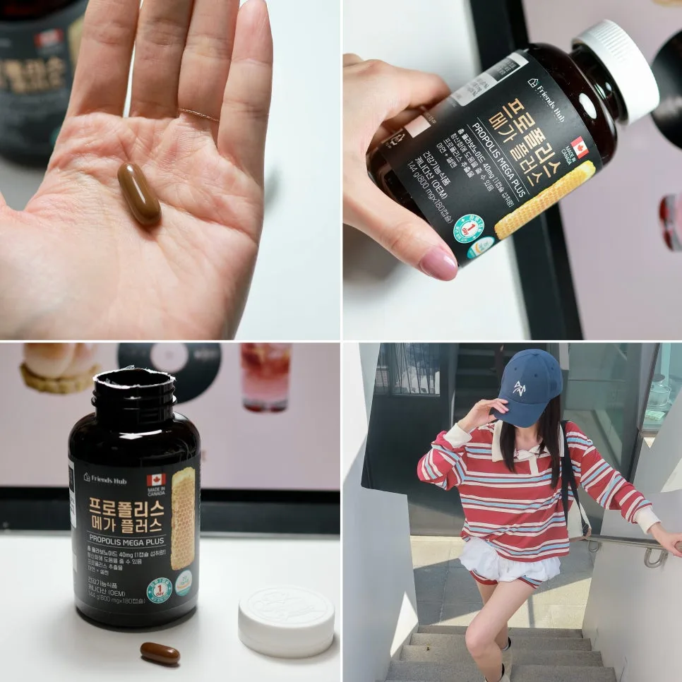 프로폴리스 플라보노이드 40mg, 면역력 강화 효과와 섭취 가이드 2026
