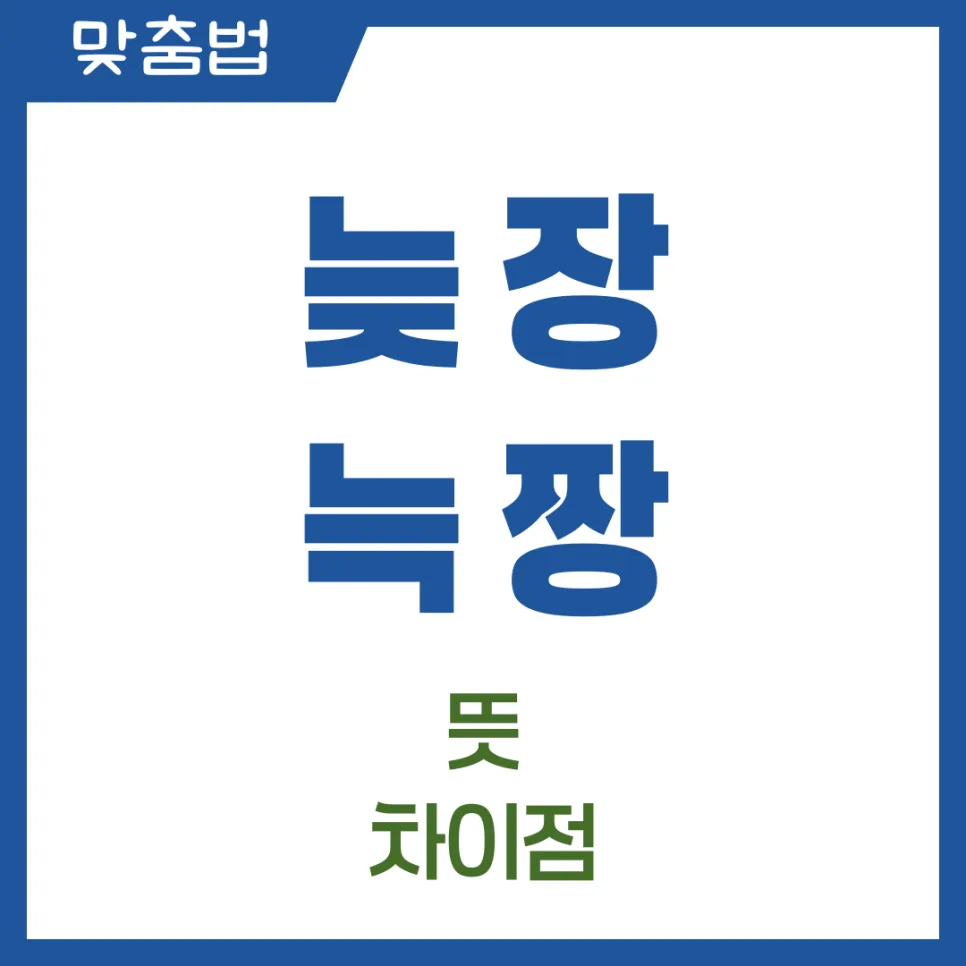 늦장 늑장 복수 표준어 2026: 뜻, 차이, 올바른 사용법 총정리