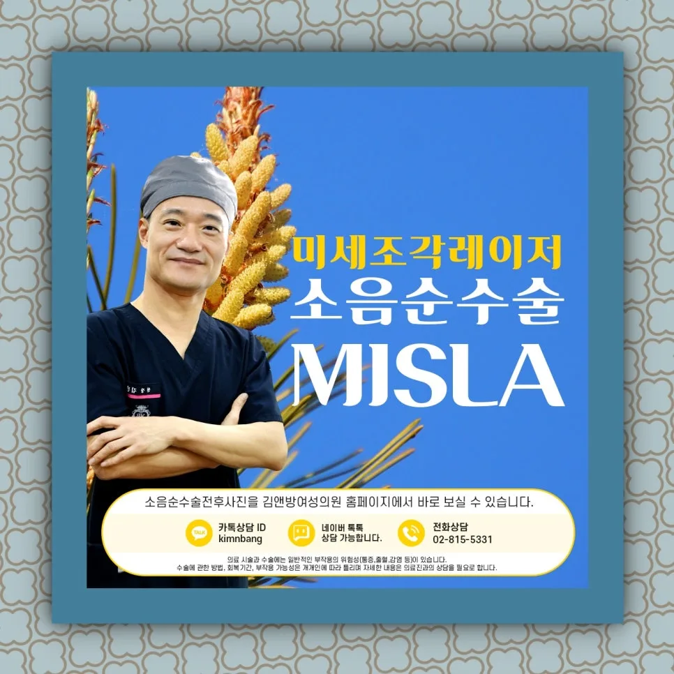소음순 수술 보험 적용 여부 2026년 총정리 2