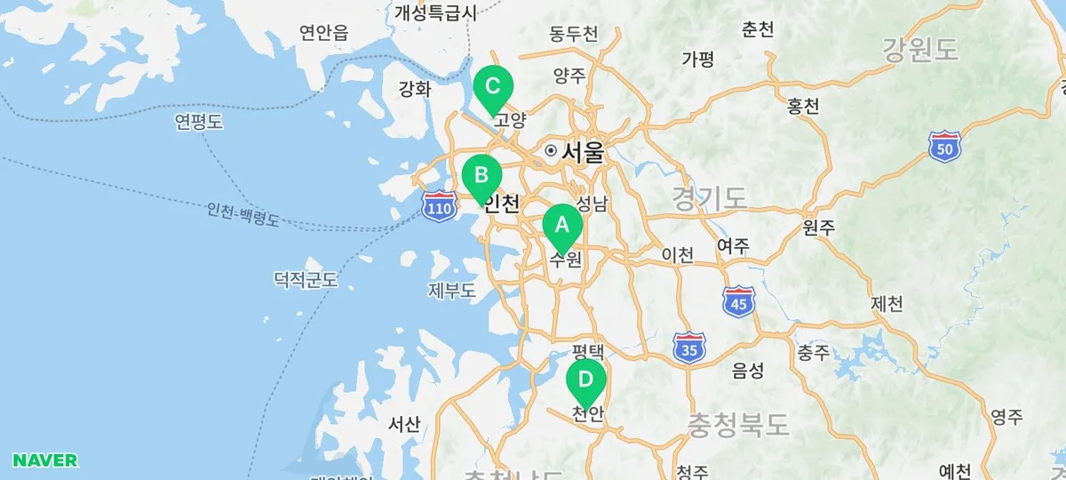 인천 강아지 분양, 비숑 입양 후기 및 주의사항 2026