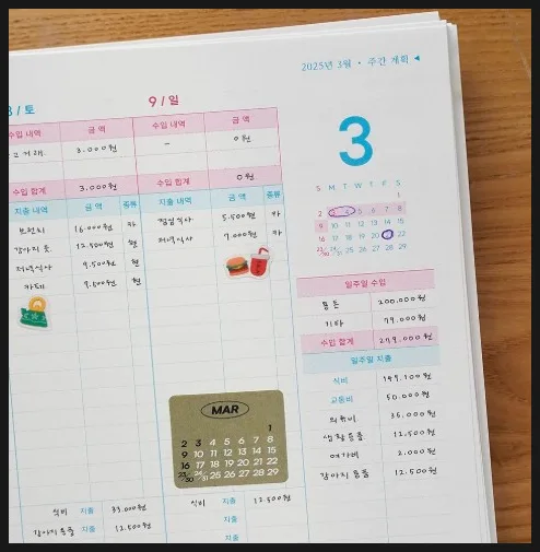 가계부 효과 극대화: 2026년, 실패 없는 노션 가계부 활용법