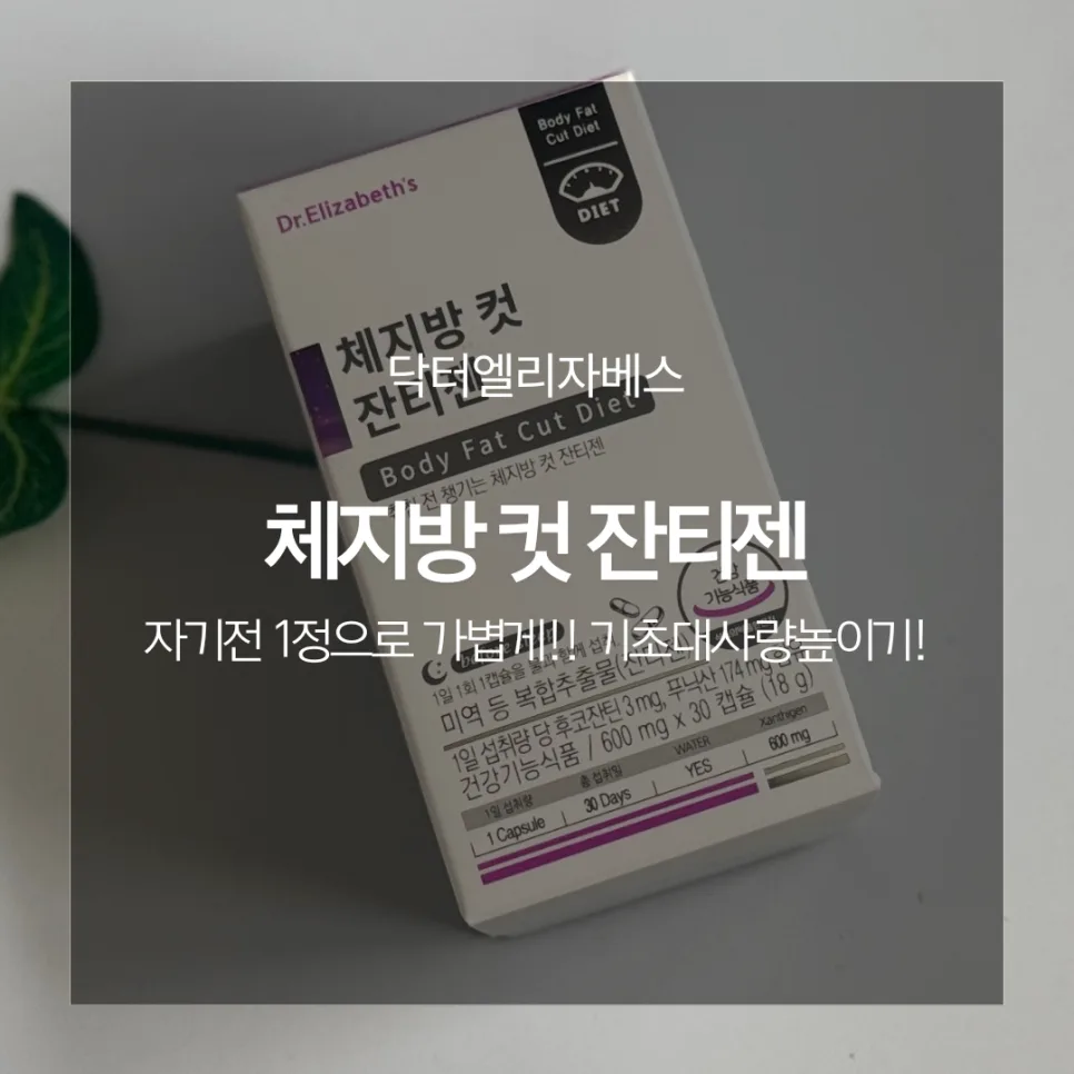 닥터엘리자베스 잔티젠 2026: 체지방 감소 효과와 섭취법 총정리