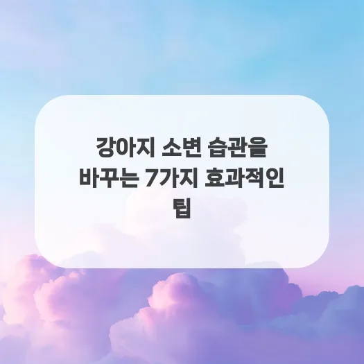 2026년 강아지 배변 훈련 성공 비법: 7가지 핵심 습관 교정 — 반려동물 — qkrrnekdld
