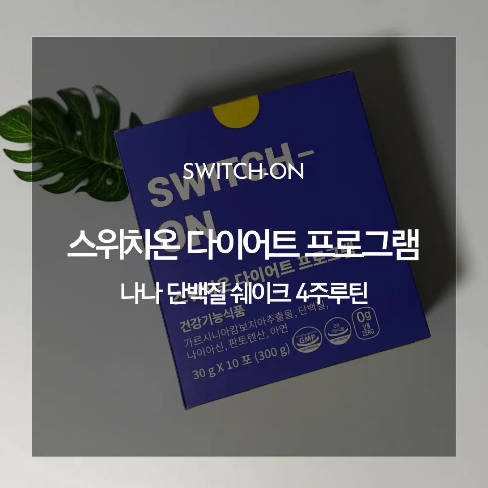 나나 다이어트 스위치온, 2026년 효과적인 체지방 관리법 공개