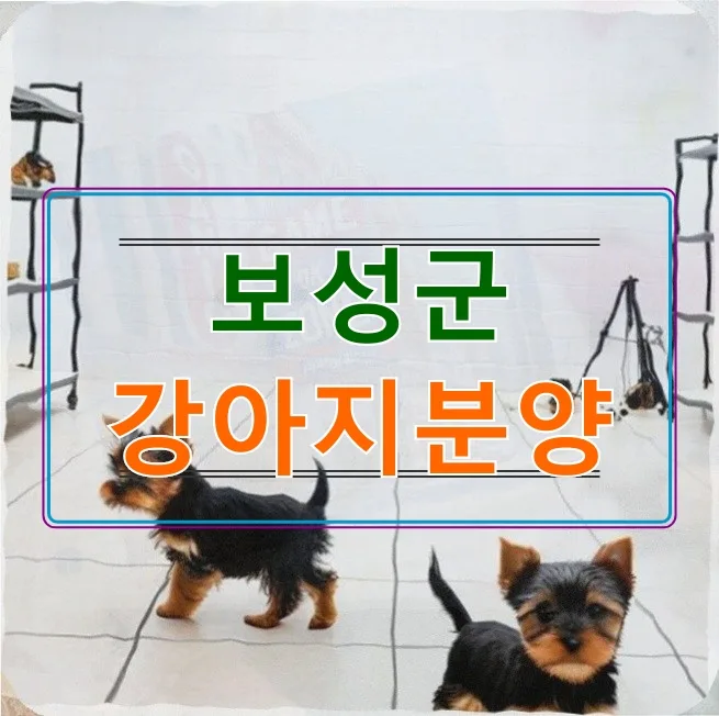 보성군 강아지 분양 시 맹견 지정 대비 80만원 추가 비용 발생 2026