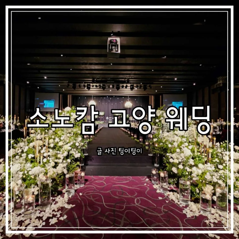 소노캄 고양 호텔 예식 2026: 웨딩홀 견적 비교 및 후기