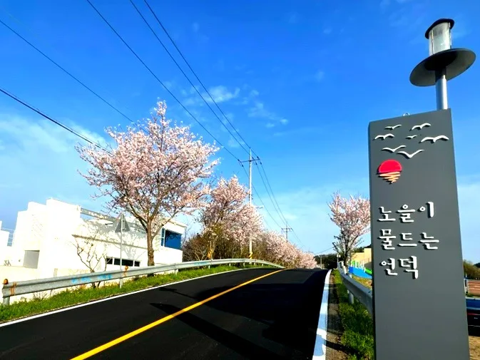 거제 가조도 벚꽃길 & 노을 명소 2026년 완벽 가이드